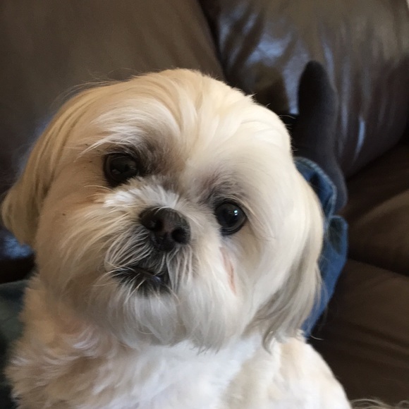 Profile Picture of Stephen Herbstman (@stephen1971) on Poshmark