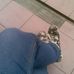 Profile Picture of Ami LoveLope (boo boo) (@amity.amity.3150) on Facebook