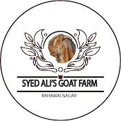 Profile Picture of Syed Ali Goat Farm (@alisyed411) on Youtube