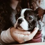 Profile Picture of Frank (@fartbagfrank) on Instagram