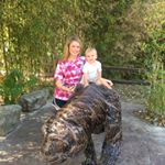 Profile Picture of Adam Dobbins (@dobbins.adam) on Instagram