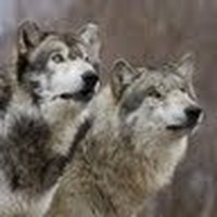 Profile Picture of Zachary Lancaster (@zachary-lancaster-15) on Quora