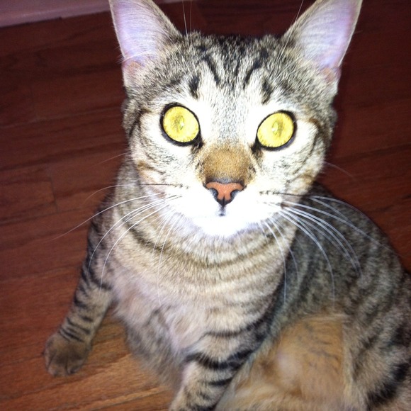 Profile Picture of Katie Hizel (@kmhizelb) on Poshmark