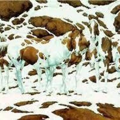 Profile Picture of Lisa Marie Laverty (@LavertyMarie) on Twitter