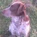 Profile Picture of Neal Edwards (@neal.edwards.758) on Facebook
