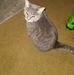 Profile Picture of Renee Sowards (@renee.sowards.7165) on Facebook