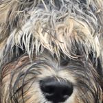 Profile Picture of William  Warwick (@william_warwick) on Instagram