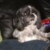 Profile Picture of Rita Stein (@rita.stein.188) on Facebook