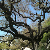 Profile Picture of Rhonda Matson (@rhondamatson314) on Youtube