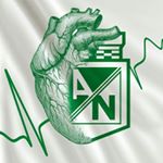 Profile Picture of Jose Miguel Albino (@migue_albino) on Instagram