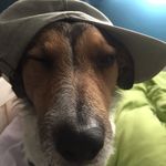 James Thomas Coleman - Instagram Profile Picture of James Thomas Coleman (@james_____coleman) on Instagram