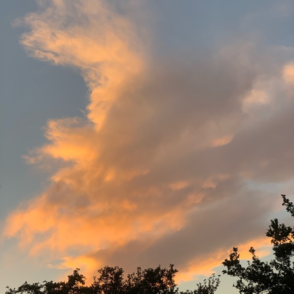 Peter Wang - Poshmark Profile Picture of Peter Wang (@iam854) on Poshmark