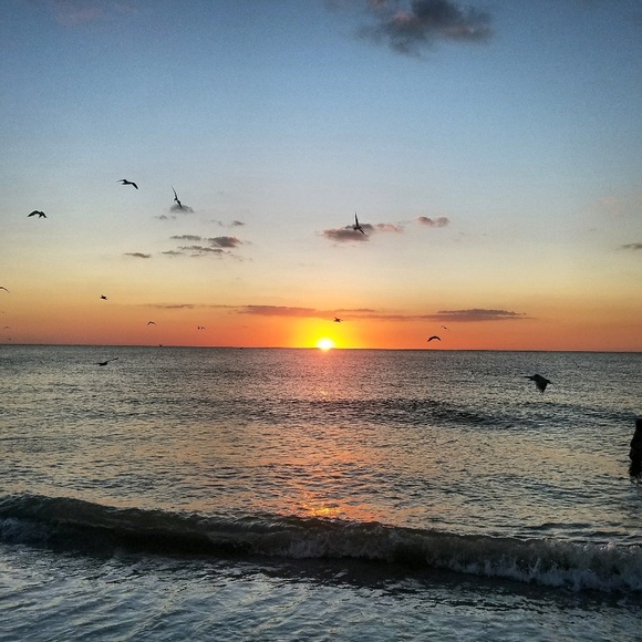 Profile Picture of Luis Cornelio (@luico69) on Poshmark