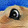 Profile Picture of curtisevans (@curtisevans) on Flickr