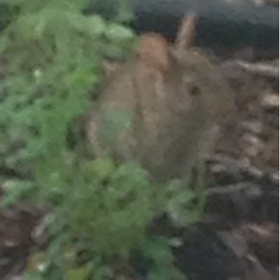 Profile Picture of Mel Baumgartner (@melbaumgartner1) on Twitter