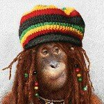 Profile Picture of Will Eadon (@will311001) on Instagram