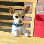 Profile Picture of Tami Wright (@tamaralwrighttn) on Instagram
