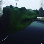 Profile Picture of Jeremy Saver (@alligator_0_967) on Instagram