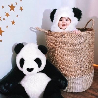 Profile Picture of Aseel Ibrahim💙🕊 (@AseelIb85404094) on Twitter