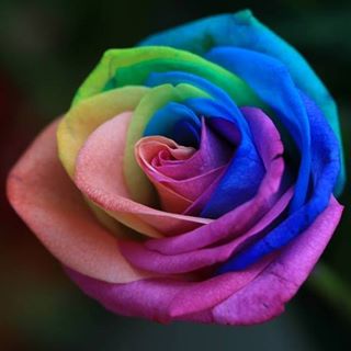 Profile Picture of Anna Titone (@anna.kowalski.5811) on Facebook