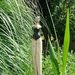 Profile Picture of Daniela Riemann (@danielariemann) on Pinterest