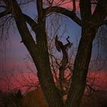 Profile Picture of John Callison (@jacjr31955) on Instagram