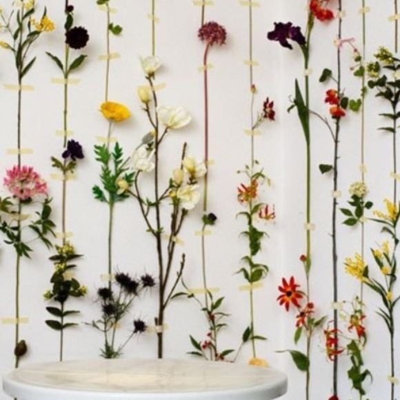 Joanna Janczak - Poshmark Profile Picture of Joanna Janczak (@janczakkk) on Poshmark