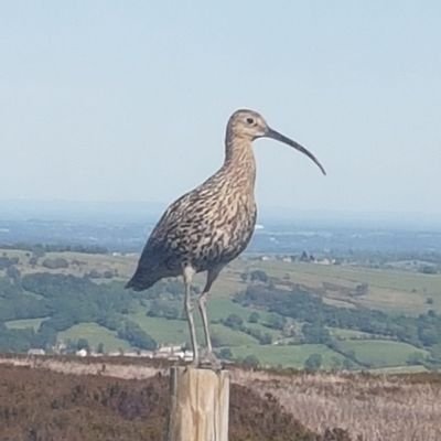 Profile Picture of Catherine Ward (@cathbeany) on Twitter