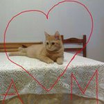 Profile Picture of Mario Santacroce (@santacrocemario) on Instagram