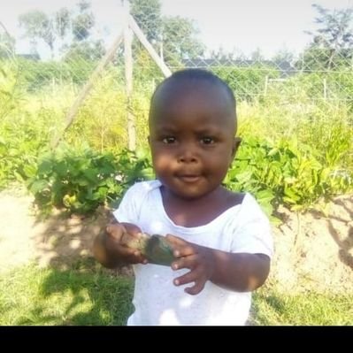 Profile Picture of Kevinrucks (@Kevinrucks5) on Twitter