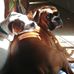 Profile Picture of Greg Michael (@greg.michael.984786) on Facebook