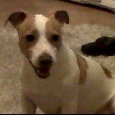 Profile Picture of Matthew Mawhinney (@Maddyduck0904) on Twitter