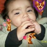 Profile Picture of Cecilia Toscano (@toscano6740) on Instagram