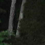 Profile Picture of John Riggs (@jrifyouknowuouknow) on Youtube