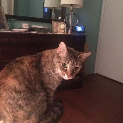 Profile Picture of VERONICA PATTON (@VERONIC25655617) on Twitter