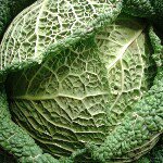 Profile Picture of pagelralph (@pagelralph) on Instagram