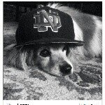 Profile Picture of Breiann Adams (@breiann_adams_33) on Instagram