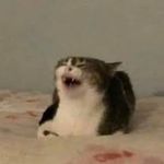 Profile Picture of Alex pinson piña (@rjhfjhf) on Instagram