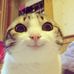 Profile Picture of Lambert Wong (@lambert.wong.7798) on Facebook