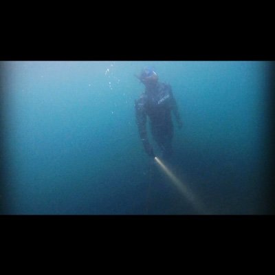 Profile Picture of NickTarr (@NickTarr11) on Twitter