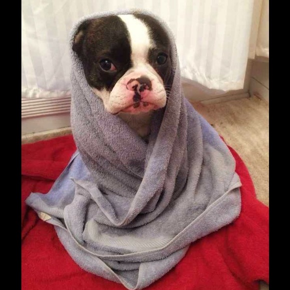 Profile Picture of Carla Hunt (@clarabellewv) on Poshmark