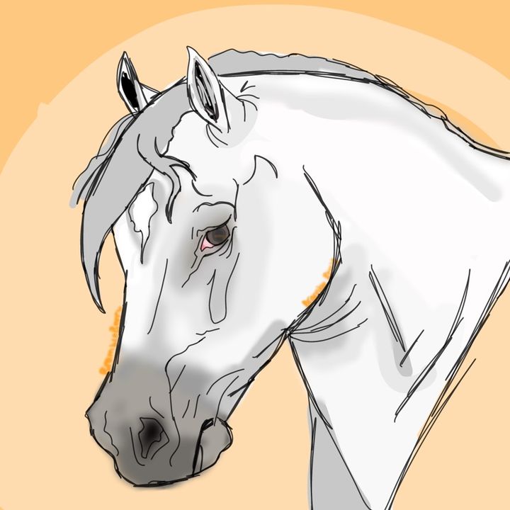 Profile Picture of Bramble Berry WHI (@bramble.berry.whi) on Tiktok