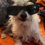 Profile Picture of JM Harrison (@JM-Harrison) on Facebook