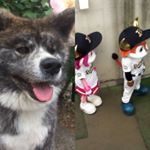 Profile Picture of 冨宅　飛駈 (@takaku_fuke) on Instagram