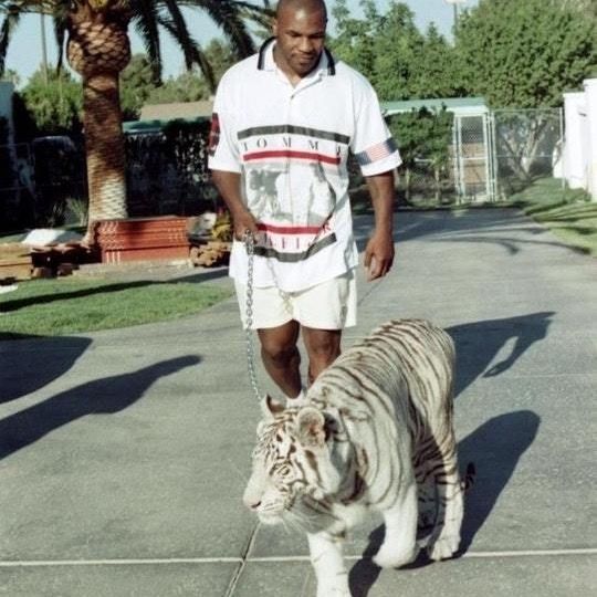 Profile Picture of torjacobson (@torjacobson) on Tiktok