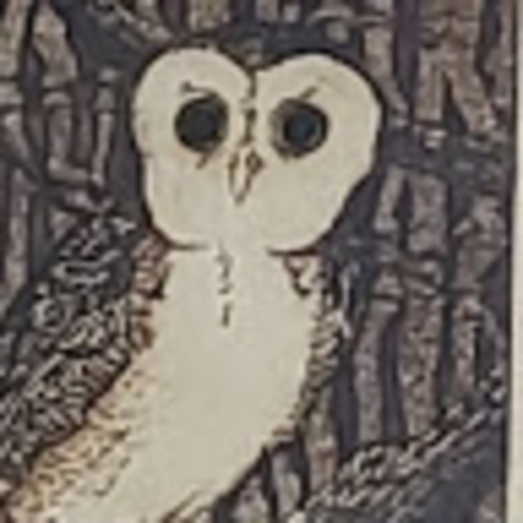 Profile Picture of Abraham Resendiz (@ayeemane) on Poshmark