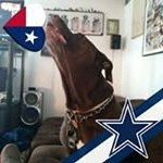 Profile Picture of Joe Coble (@joecoble) on Instagram