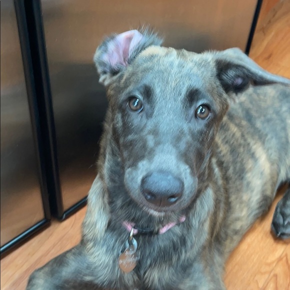 Carrie Frump - Poshmark Profile Picture of Carrie Frump (@carriefrump) on Poshmark