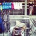 Profile Picture of Savannah Chapman (@savvychap) on Pinterest
