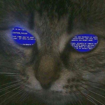 Profile Picture of Aaron Shuff (@shuff_bomb) on Twitter